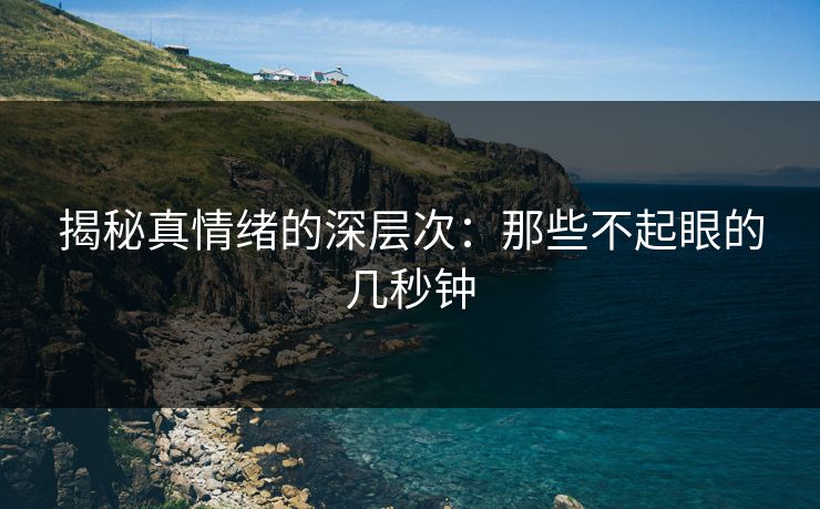 揭秘真情绪的深层次：那些不起眼的几秒钟