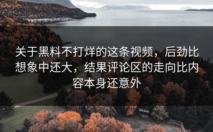 关于黑料不打烊的这条视频，后劲比想象中还大，结果评论区的走向比内容本身还意外